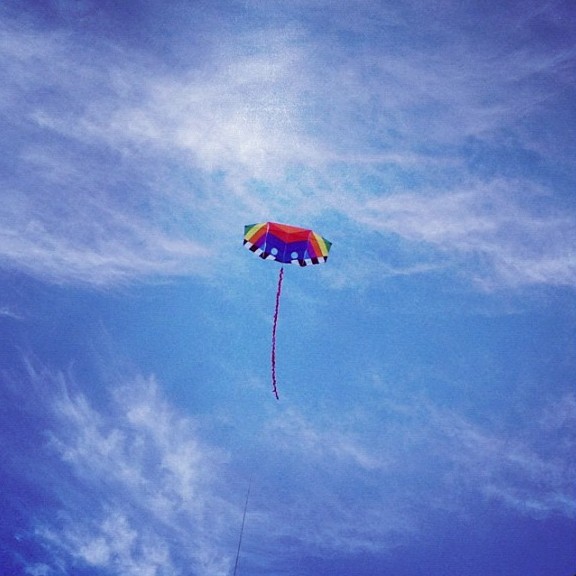 Another kite in Toronto skies